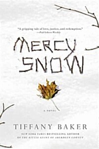 Mercy Snow (Paperback)