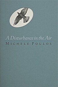 A Disturbance in the Air (Paperback)