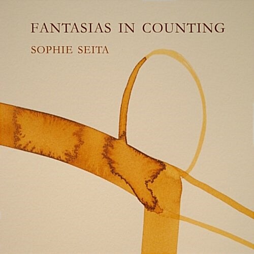 Fantasias in Counting (Paperback)