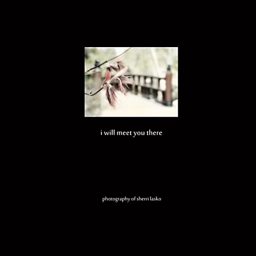 I Will Meet You There: Photography of Sherri Lasko (Paperback)