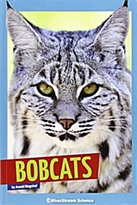 Bobcats (Paperback)