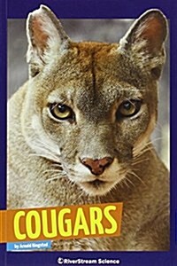 Cougars (Paperback)