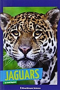Jaguars (Paperback)