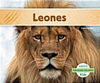 Leones (Lions) (Spanish Version) (Library Binding)