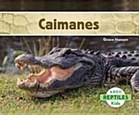 Caimanes (Alligators) (Spanish Version) (Library Binding)