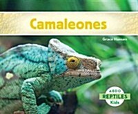 Camaleones (Chameleons) (Library Binding)