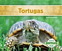 Tortugas (Turtles) (Spanish Version) (Library Binding)