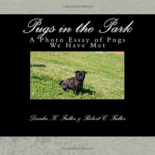 Pugs in the Park: A Photo Essay of Pugs We Have Met (Paperback)