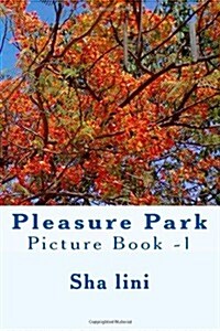 Pleasure Park: Picture Book -1 (Paperback)
