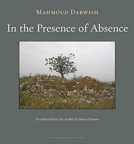 In the Presence of Absence (Paperback, Deckle Edge)