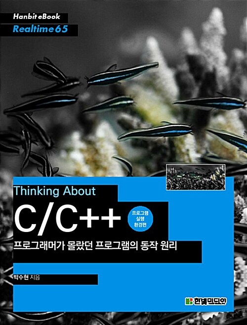 [POD] Thinking about C/C++ 프로그래머가 몰랐던 프로그램의 동작 원리 : 프로그램 환경편