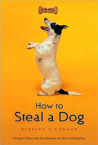 How to Steal a Dog (Paperback, 미국판)