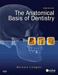 The Anatomical Basis of Dentistry (Paperback, 3)