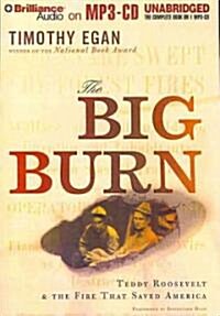 The Big Burn (MP3, Unabridged)