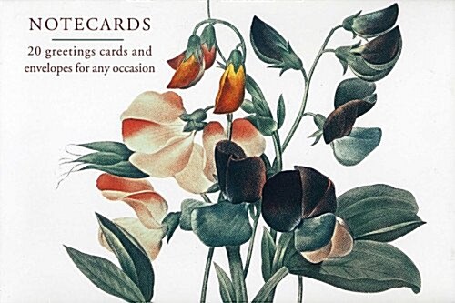 Card Box of 20 Notecards and Envelopes: Sweetpea (Cards)