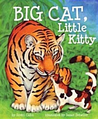 Big Cat, Little Kitty (Paperback)