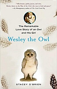 Wesley the Owl (Hardcover)