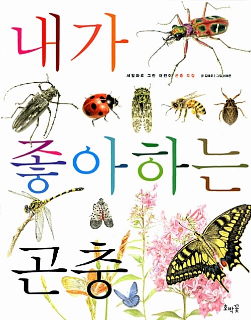 [중고] 내가 좋아하는 곤충