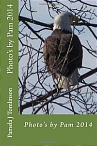 Photos by Pam 2014 (Paperback)