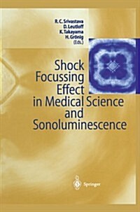 Shock Focussing Effect in Medical Science and Sonoluminescence (Paperback)