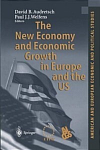 The New Economy and Economic Growth in Europe and the Us (Paperback)