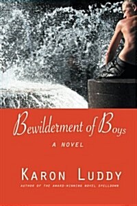 Bewilderment of Boys (Paperback)