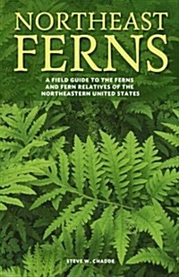 Northeast Ferns: A Field Guide to the Ferns and Fern Relatives of the Northeastern United States (Paperback)