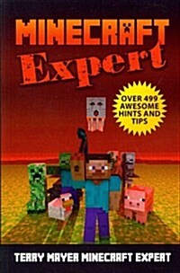 Minecraft Expert (Paperback)