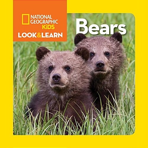 National Geographic Kids Look and Learn: Bears (Board Books)