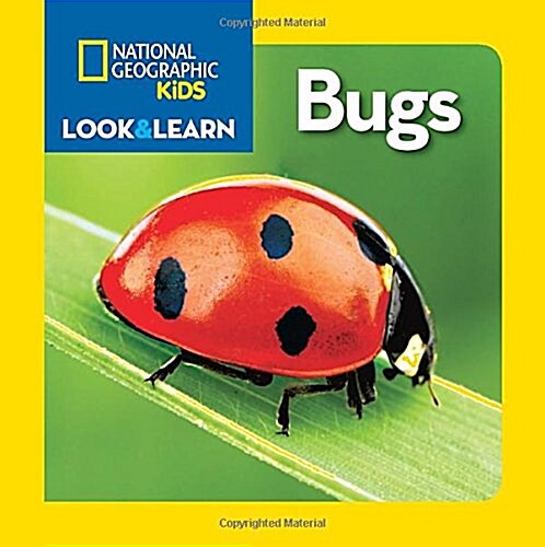 National Geographic Kids Look and Learn: Bugs (Board Books)