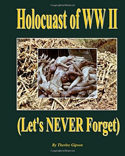 Holocaust of WW II: Lets Never Forget (Paperback)