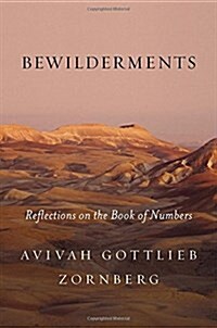 Bewilderments: Reflections on the Book of Numbers (Hardcover)