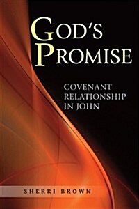 Gods Promise: Covenant Relationship in John (Paperback)