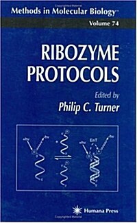 Ribozyme Protocols (Hardcover, 1997)