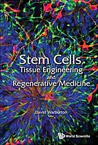 Stem Cells, Tissue Engineering and Regenerative Medicine (Hardcover)