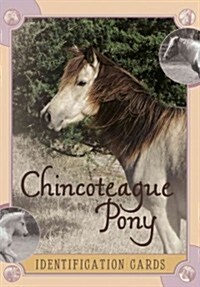 Chincoteague Pony Identification Cards, Set 2 (Other)
