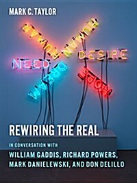 Rewiring the Real: In Conversation with William Gaddis, Richard Powers, Mark Danielewski, and Don Delillo (Paperback)