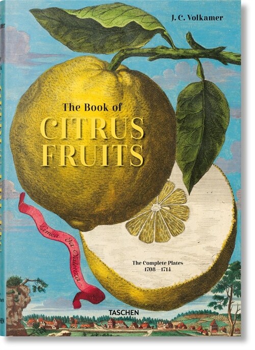 J. C. Volkamer. the Book of Citrus Fruits (Hardcover)
