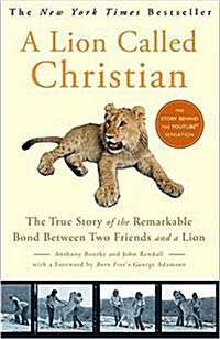 A Lion Called Christian (Paperback)