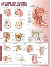 Anatomy and Injuries of the Head and Neck Anatomical Chart (Other, Paper Unmounted)