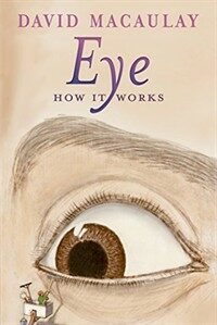 Eye : how it works