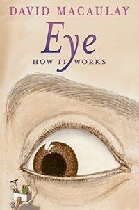 Eye: How It Works (Paperback)