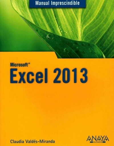 Excel 2013 (Paperback)