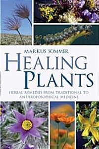 Healing Plants : Herbal Remedies from Traditional to Anthroposophical Medicine (Paperback)