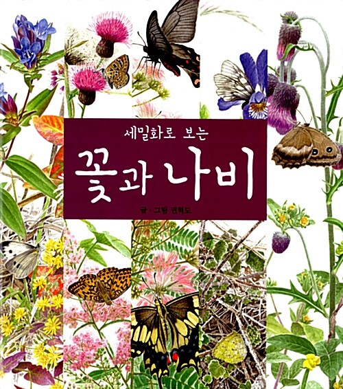 [중고] 세밀화로 보는 꽃과 나비