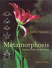 Metamorphosis: Evolution in Action (Hardcover)