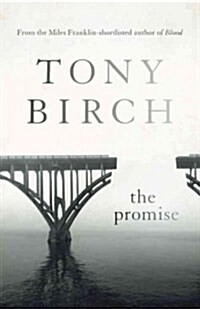 The Promise (Paperback)