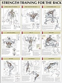 Strength Training for the Back Poster (Other)