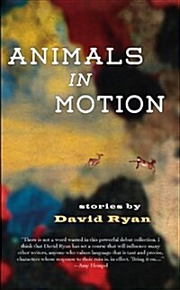 Animals in Motion: Stories (Paperback)