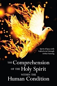 The Comprehension of the Holy Spirit Within the Human Condition (Paperback)